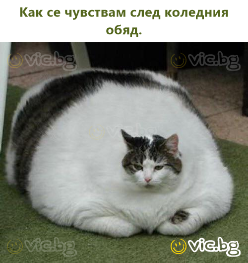 Єдиний подарунок наприкінці року, який я хочу: