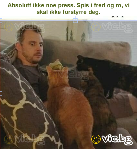 Absolutt ikke noe press. Spis i fred og ro, vi skal ikke forstyrre deg.