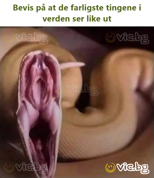 Bevis på at de farligste tingene i verden ser like ut