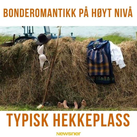 Bonderomantikk pã hoyt niva typisk hekkeplass