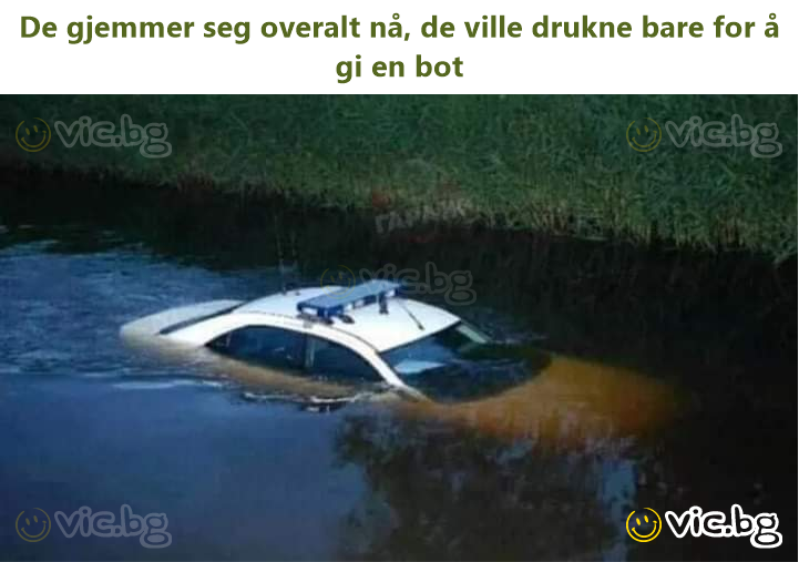 De gjemmer seg overalt nå, de ville drukne bare for å gi en bot