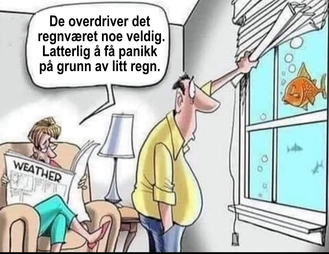 De overdriver det	regnvaret noe veldig.	 Latterlig å få panikk pả grunn av litt regn.
