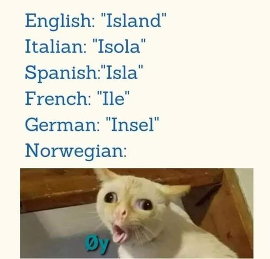 English: "Island" Italian: "Isola" Spanish: "Isla" French: "Ile" German: "Insel" Norwegian: Øy
