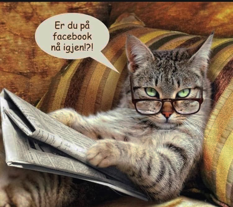 Er du pă facebook nă igjen!?!