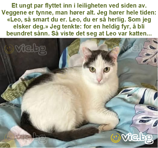Et ungt par flyttet inn i leiligheten ved siden av. Veggene er tynne, man hører alt. Jeg hører hele tiden: «Leo, så smart du er. Leo, du er så herlig. Som jeg elsker deg.» Jeg tenkte: for en heldig...
