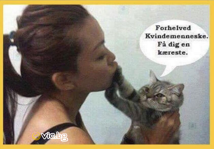 Forhelved Kvindemenneske. Fá dig en kareste.