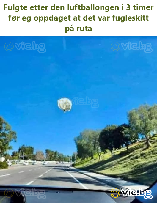 Fulgte etter den luftballongen i 3 timer før eg oppdaget at det var fugleskitt på ruta