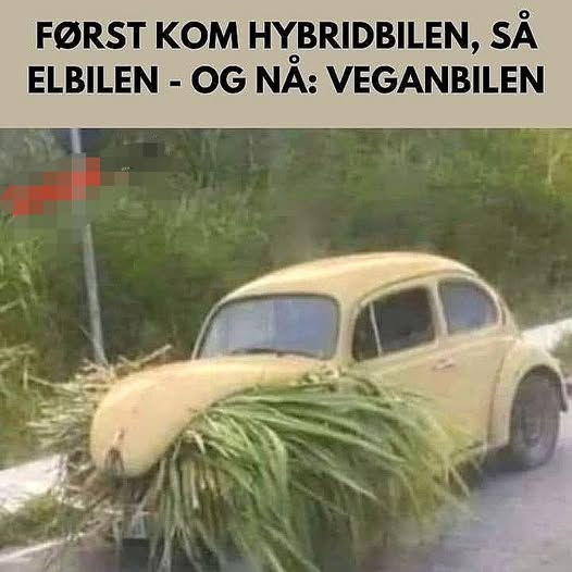 Først kom hybridbilen, så elbilen - og na: veganbilen