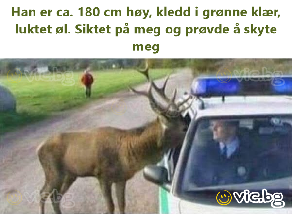 Han er ca. 180 cm høy, kledd i grønne klær, luktet øl. Siktet på meg og prøvde å skyte meg