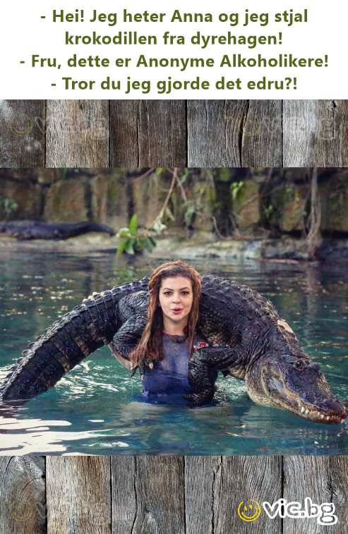 - Hei! Jeg heter Anna og jeg stjal krokodillen fra dyrehagen! - Fru, dette er Anonyme Alkoholikere! - Tror du jeg gjorde det edru?!