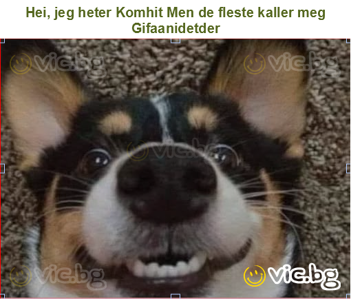 Hei, jeg heter Komhit Men de fleste kaller meg Gifaanidetder