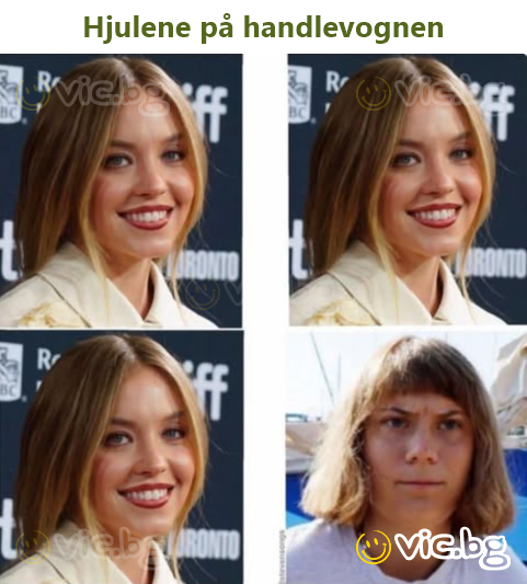 Hjulene på handlevognen