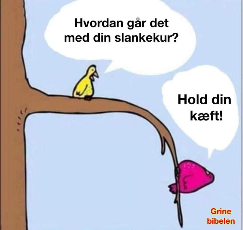 Hordan gàr det med din slankekur?	 Hold din kaft!