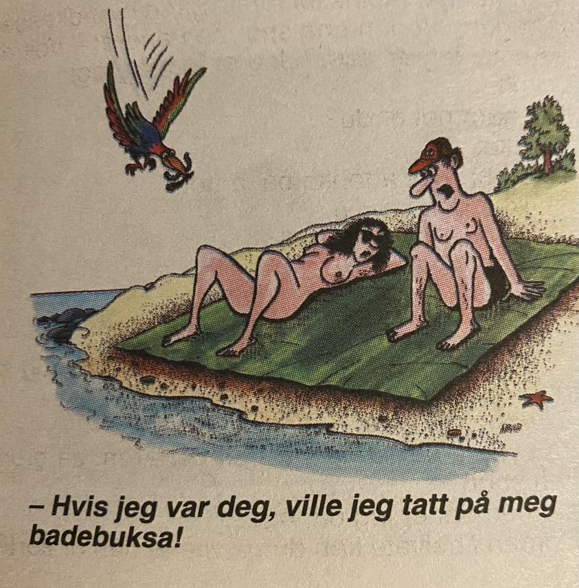 - Hvis jeg var deg, ville jeg tatt pa meg badebuksa!
