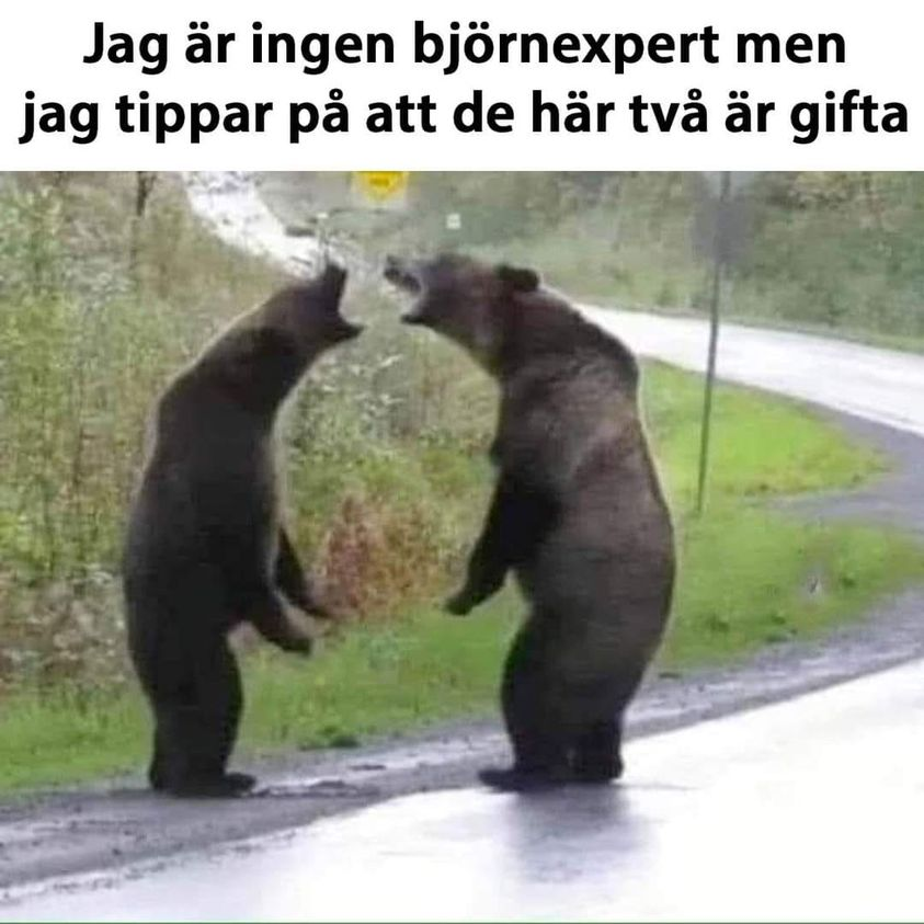Jag är ingen björnexpert men	 jag tippar pà att de här tvà är gifta