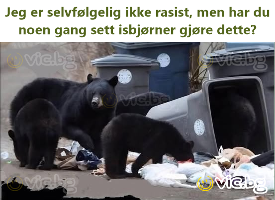 Jeg er selvfølgelig ikke rasist, men har du noen gang sett isbjørner gjøre dette?