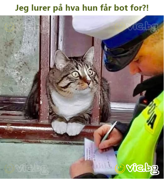 Jeg lurer på hva hun får bot for?!