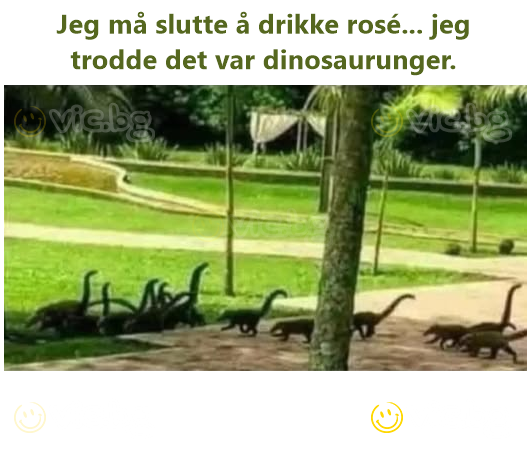 Jeg må slutte å drikke rosé... jeg trodde det var dinosaurunger.