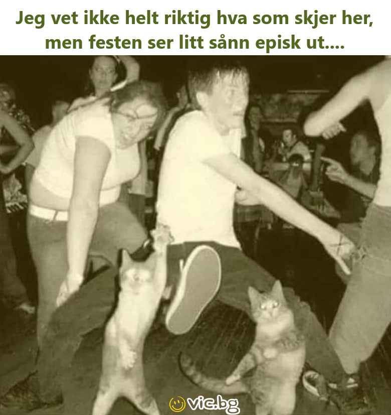 Jeg vet ikke helt riktig hva som skjer her, men festen ser litt sånn episk ut....
