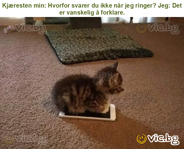 Kjæresten min: Hvorfor svarer du ikke når jeg ringer? Jeg: Det er vanskelig å forklare.