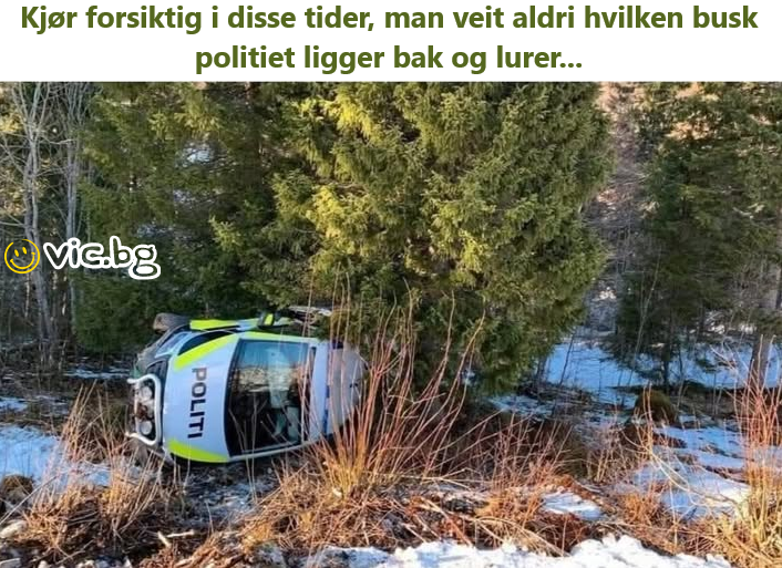 Kjør forsiktig i disse tider, man veit aldri hvilken busk politiet ligger bak og lurer...