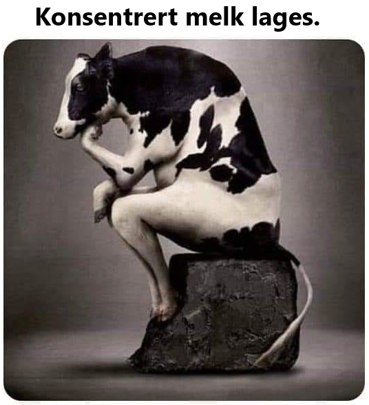 Konsentrert melk lages.