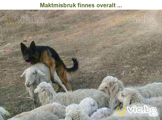Maktmisbruk finnes overalt ...