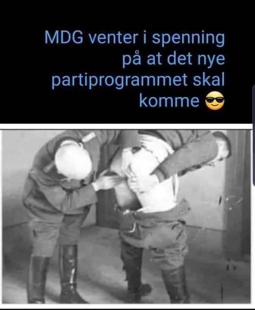 MDG venter i spenning pà at det nye partiprogrammet skal komme