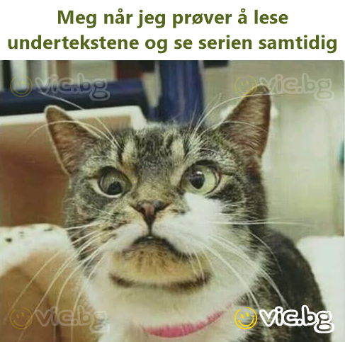 Meg når jeg prøver å lese undertekstene og se serien samtidig