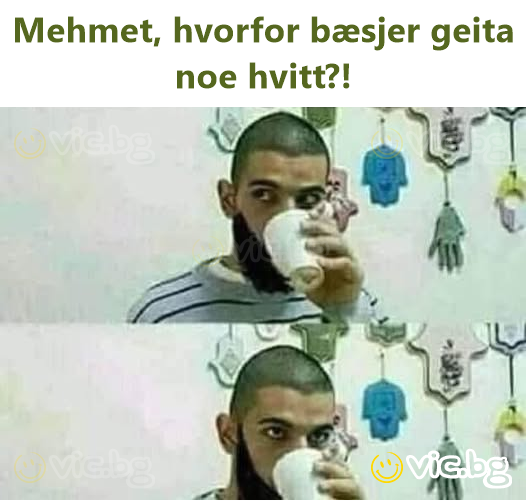 Mehmet, hvorfor bæsjer geita noe hvitt?!