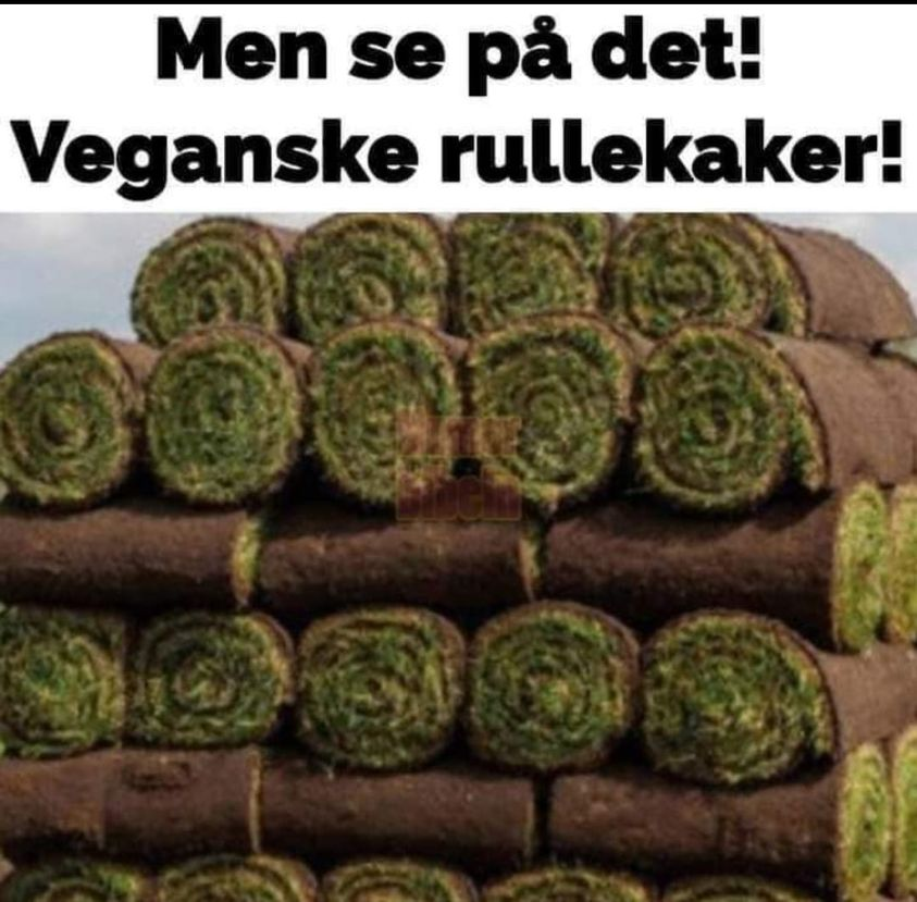 Men se på det!	 Veganske rullekaker!