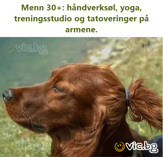 Menn 30+: håndverksøl, yoga, treningsstudio og tatoveringer på armene.