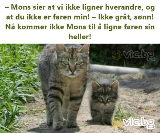– Mons sier at vi ikke ligner hverandre, og at du ikke er faren min! – Ikke gråt, sønn! Nå kommer ikke Mons til å ligne faren sin heller!