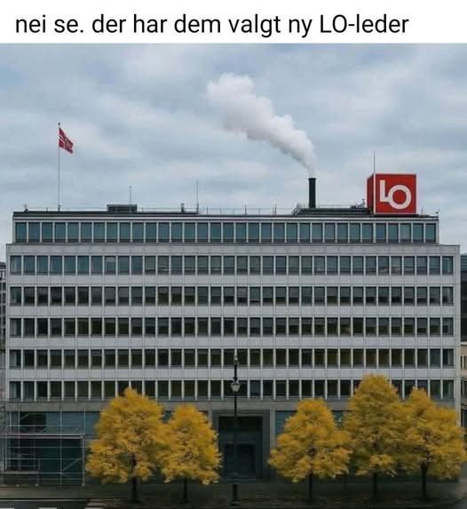 Nei se. der har dem valgt ny LO-leder