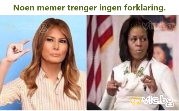 Noen memer trenger ingen forklaring.