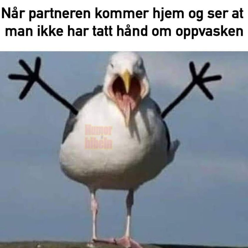 När partneren kommer hjem og ser at man ikke har tatt hand om oppvasken