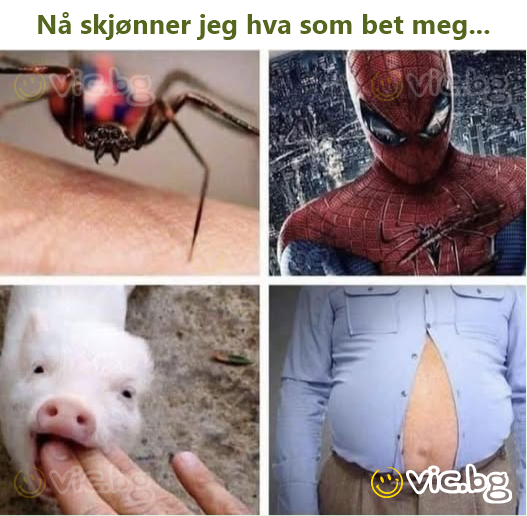 Nå skjønner jeg hva som bet meg...