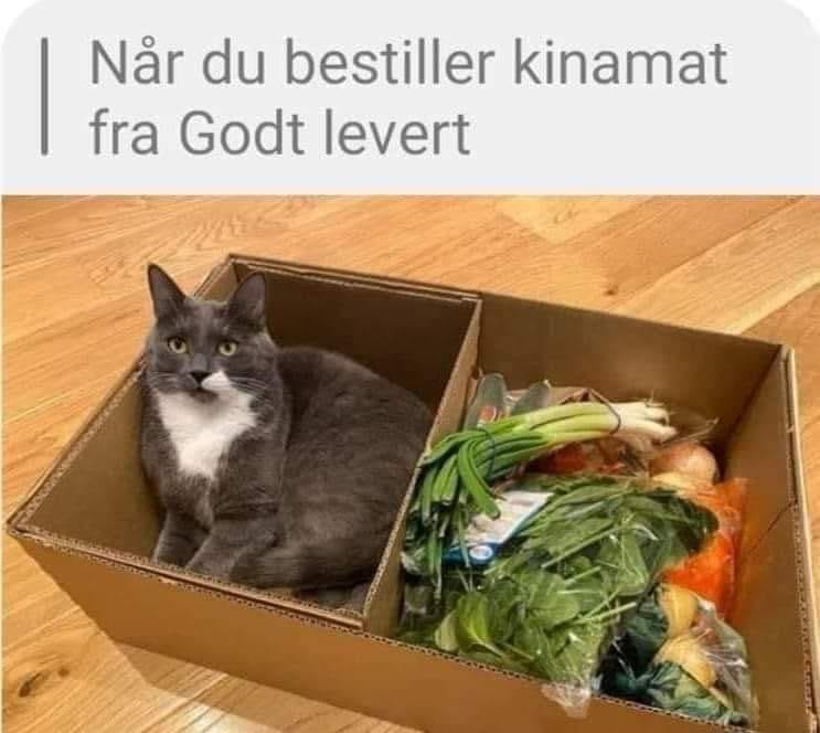 Når du bestiller kinamat fra Godt levert