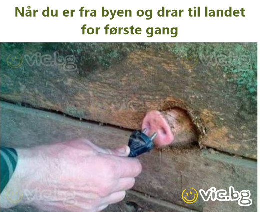 Når du er fra byen og drar til landet for første gang
