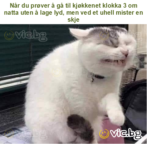 Når du prøver å gå til kjøkkenet klokka 3 om natta uten å lage lyd, men ved et uhell mister en skje