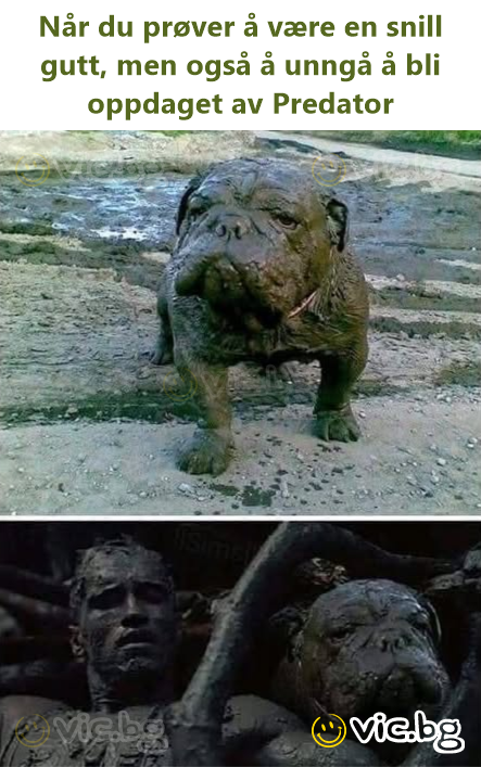 Når du prøver å være en snill gutt, men også å unngå å bli oppdaget av Predator