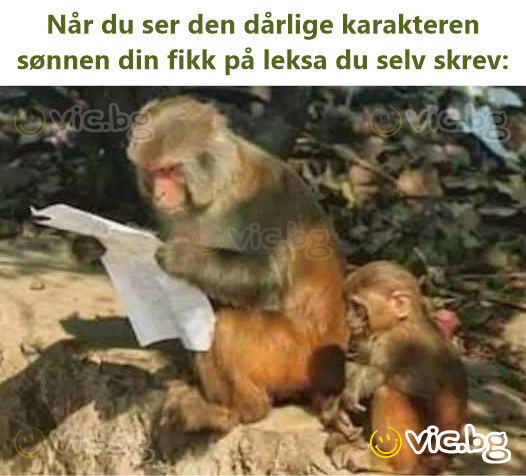 Når du ser den dårlige karakteren sønnen din fikk på leksa du selv skrev: