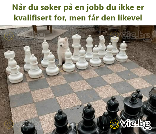 Når du søker på en jobb du ikke er kvalifisert for, men får den likevel