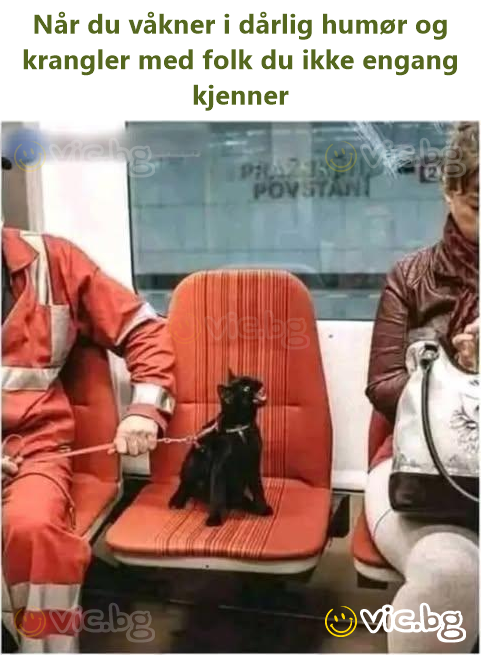 Når du våkner i dårlig humør og krangler med folk du ikke engang kjenner