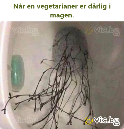 Når en vegetarianer er dårlig i magen.