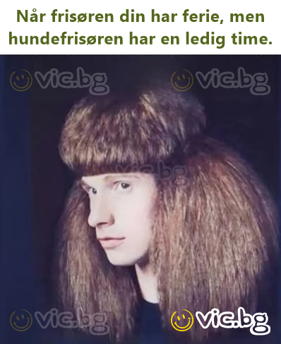 Når frisøren din har ferie, men hundefrisøren har en ledig time.