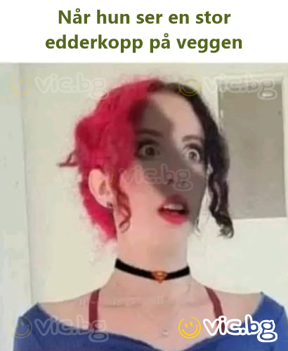 Når hun ser en stor edderkopp på veggen