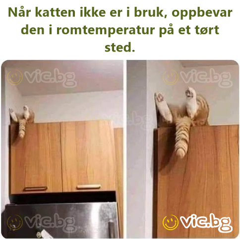 Når katten ikke er i bruk, oppbevar den i romtemperatur på et tørt sted.