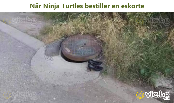 Når Ninja Turtles bestiller en eskorte