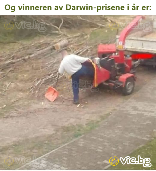 Og vinneren av Darwin-prisene i år er: